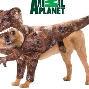 Animal Planet Raptor Dog Costume, Size Small,‎  Item# PET20109
